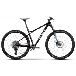 Bicycle Raymon Arid Ultra 29" 2025 carbon