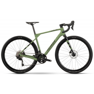 Bicycle Raymon Soreno 2025 resedagreen-black