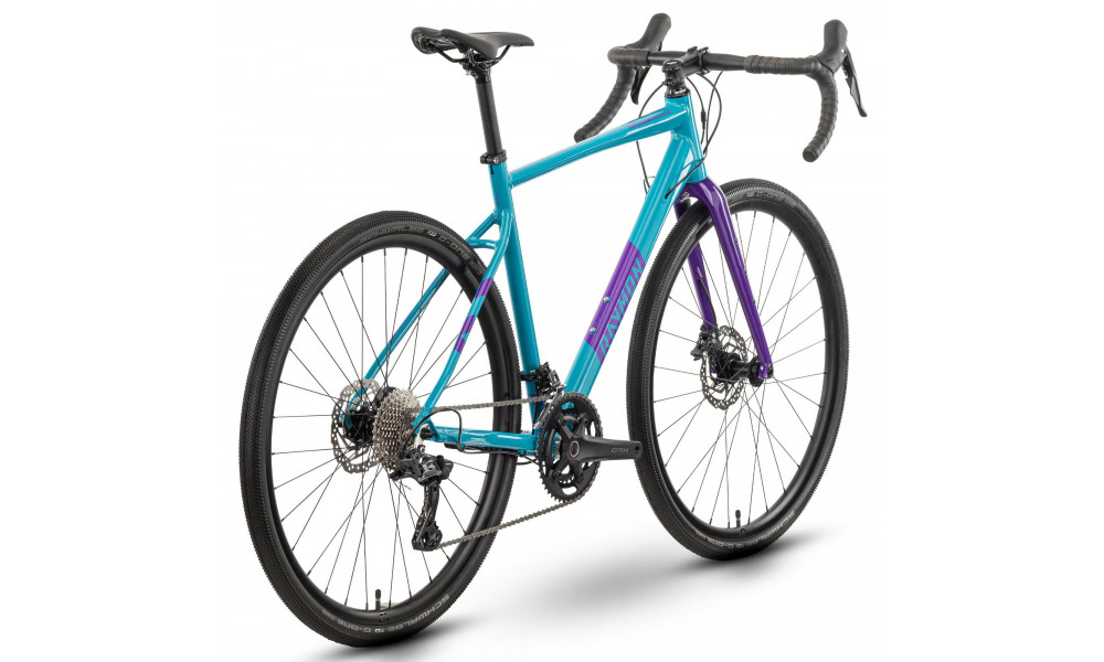 Bicycle Raymon Territ Pro 2025 aqua-purple - 2