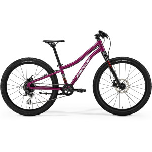 Bicycle Merida Matts J.24+ I3 silk purple(wht/red/blk)