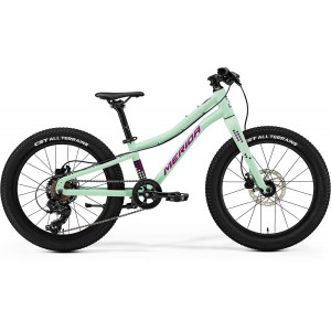 Велосипед Merida Matts J.20+ I3 matt mint(purple/wht/blk)