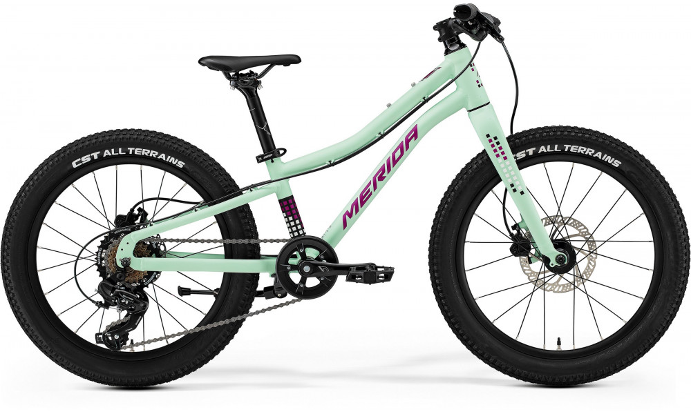 ????????? Merida Matts J.20+ I3 matt mint(purple/wht/blk) 