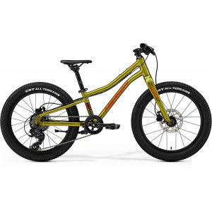 Велосипед Merida Matts J.20+ I3 fall green(red/black)