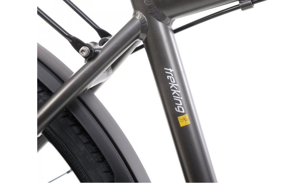 Bicycle Romet Wagant 2 28" 2022 graphite-gold - 17