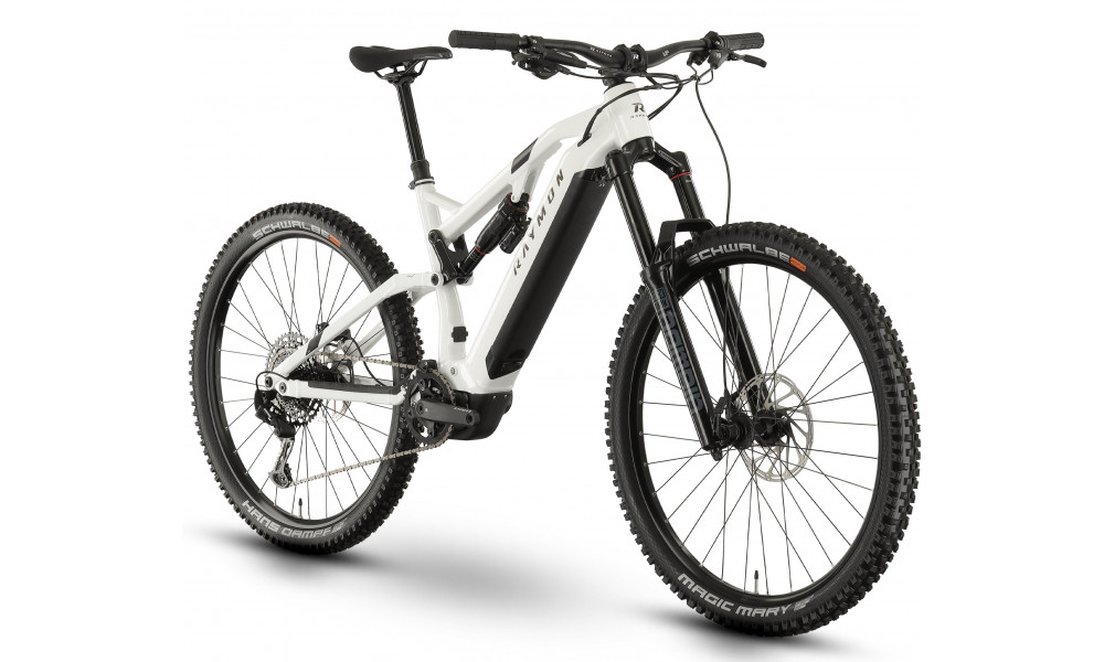 E-bike Raymon TrailRay 160E 10.0 SE 29" white - 1