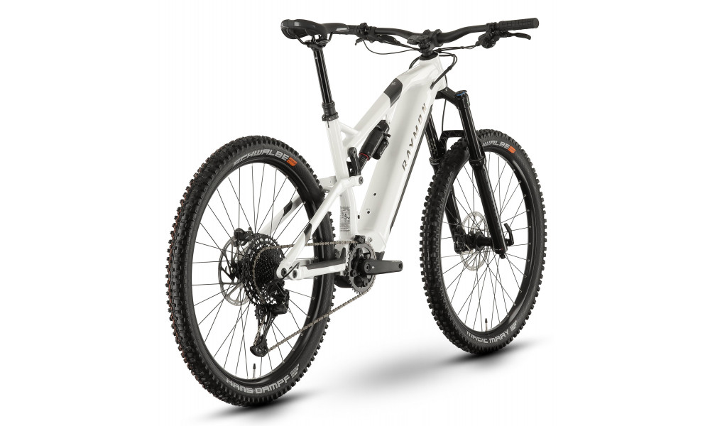 E-bike Raymon TrailRay 160E 10.0 SE 29" white - 2