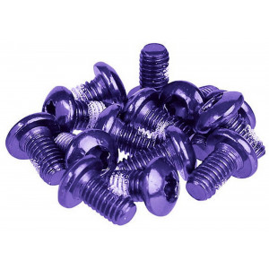 Disc rotor fixing bolts Prox purple M5x10mm (12pcs.)