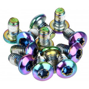 Disc rotor fixing bolts Prox rainbow M5x10mm (12pcs.)