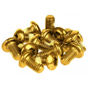 Disc rotor fixing bolts Prox gold M5x10mm (12pcs.)