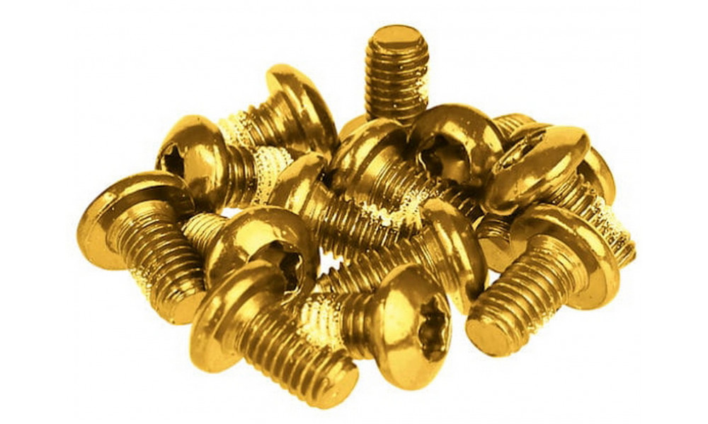 ????? ?????????? ????? Prox gold M5x10mm (12pcs.) - 1