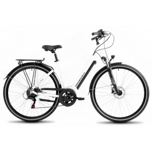 E-bike ProEco Wave AN 1.0 R 504Wh white-black