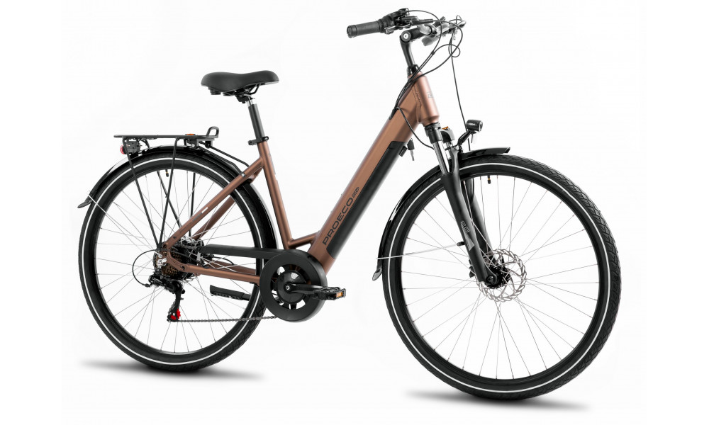 E-bike ProEco Wave AN 1.0 R 504Wh brown-black - 1