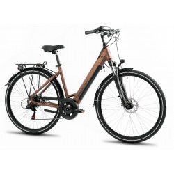 E-bike ProEco Wave AN 1.0 R 504Wh brown-black