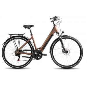 E-bike ProEco Wave AN 1.0 R 504Wh brown-black