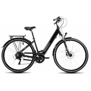 E-bike ProEco Wave AN 1.0 R 504Wh graphite-silver