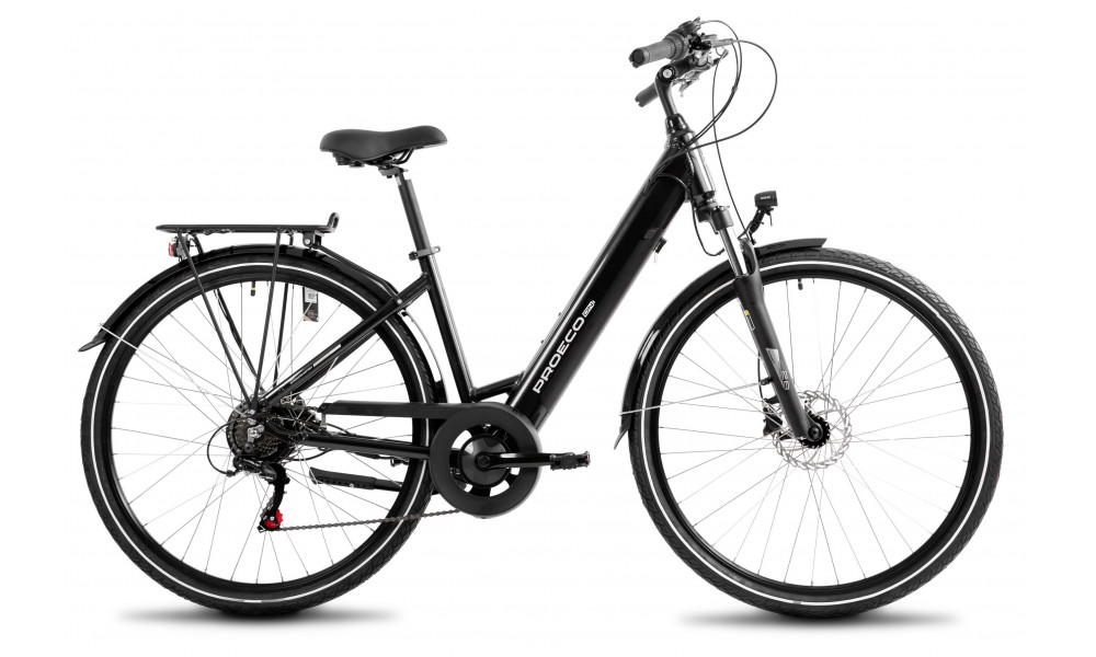 E-bike ProEco Wave AN 1.0 R 504Wh graphite-silver - 2