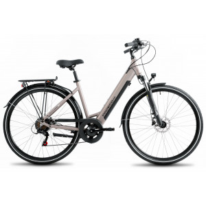 E-bike ProEco Wave AN 1.0 R 504Wh champagne-black