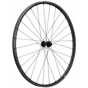 Front wheel NEWMEN Advanced Carbon SL X.R.25 29" 28H Gravel SP C-Lock 12x100