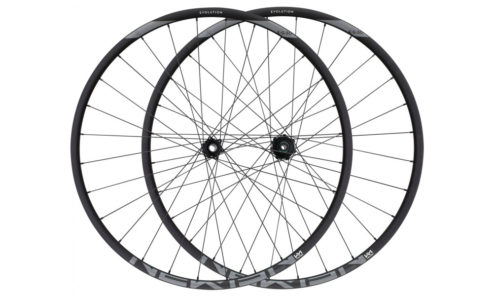 Front wheel NEWMEN Evolution Alu SL E.30 29" 15x110 SP 6-bolt 28H - 2