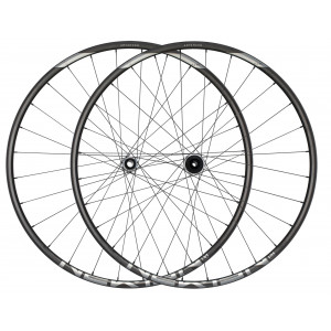 Rear wheel NEWMEN Advanced Carbon SL X.A.25 29" 12x148 SP C-Lock 28H XD