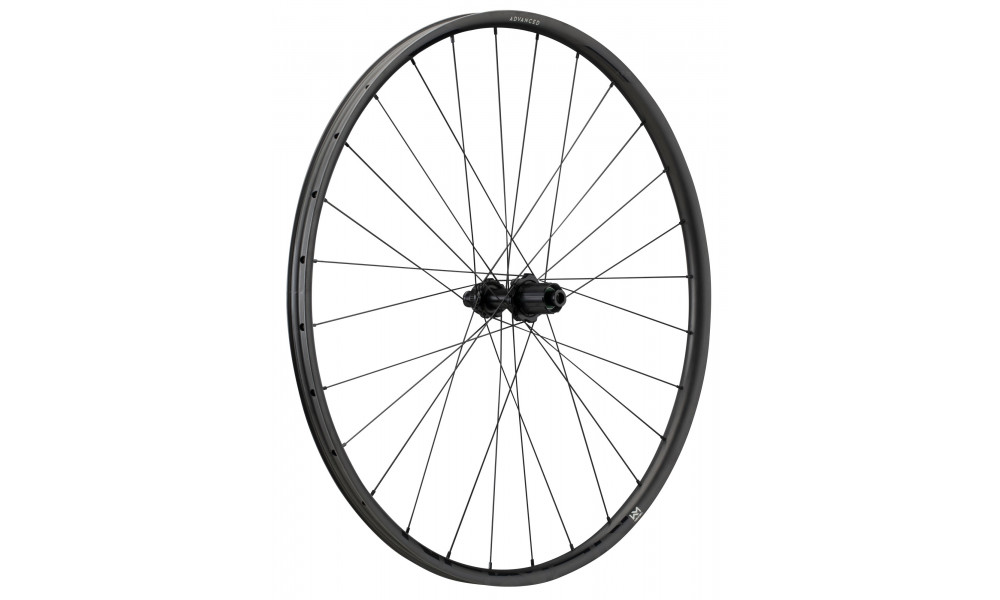 Rear wheel NEWMEN Advanced Carbon SL X.R.25 29" 28H Gravel SP C-Lock 12x142 XDR 