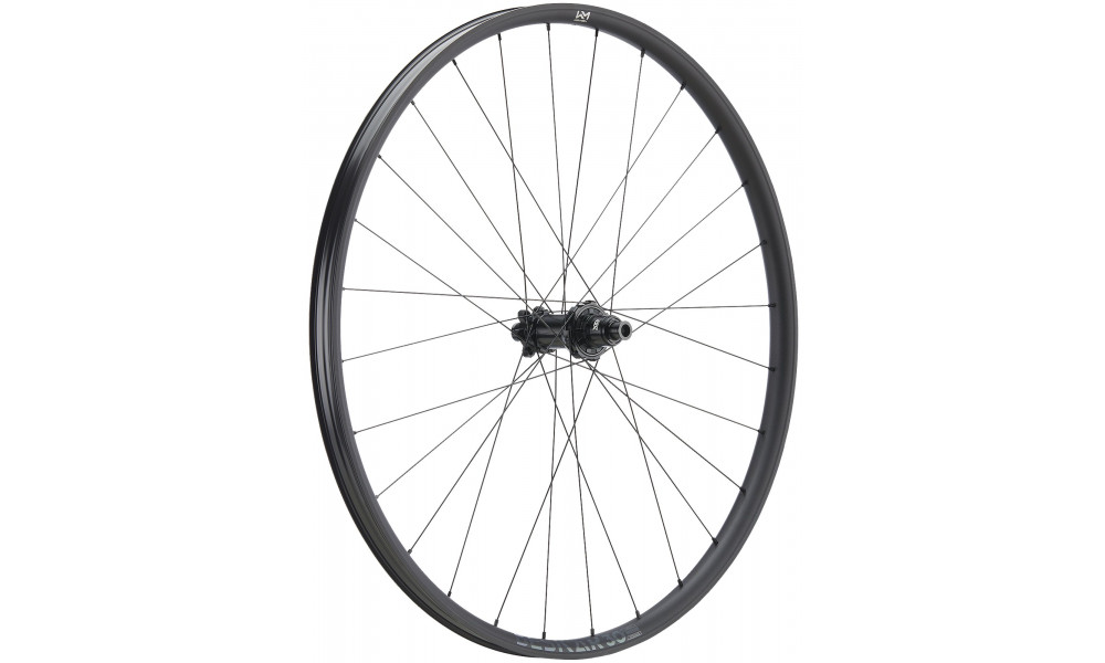 ?????? ?????? NEWMEN Beskar Alu 30 light 29" 28H SP 6-bolt 12x148 HG 