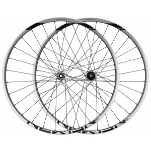 Rear wheel NEWMEN Evolution Alu SL E.G.30 29" 12x148 SP C-Lock 28H XD