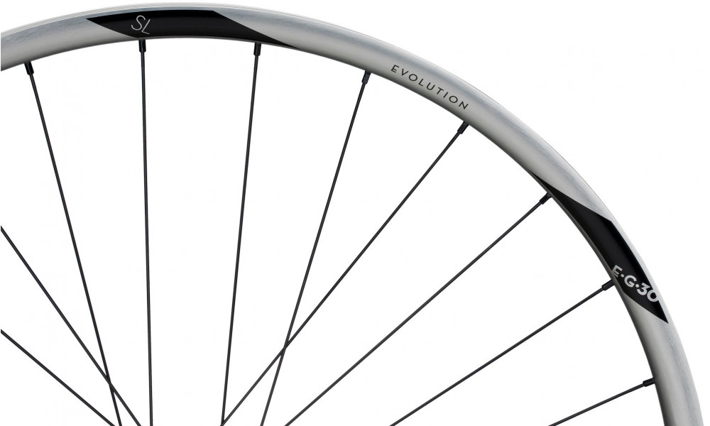 Заднее колесо NEWMEN Evolution Alu SL E.G.30 29" 12x148 SP C-Lock 28H XD - 4