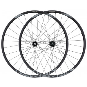 Заднее колесо NEWMEN Evolution Alu SL A.30 29" 12x148 SP 6-bolt 28H HG
