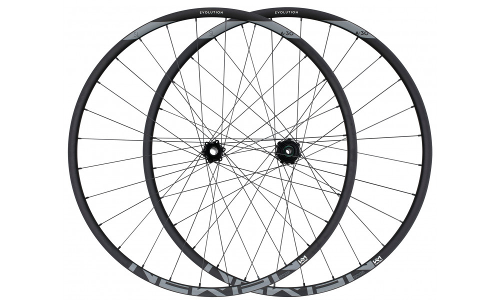 Заднее колесо NEWMEN Evolution Alu SL A.30 29" 12x148 SP 6-bolt 28H HG - 2
