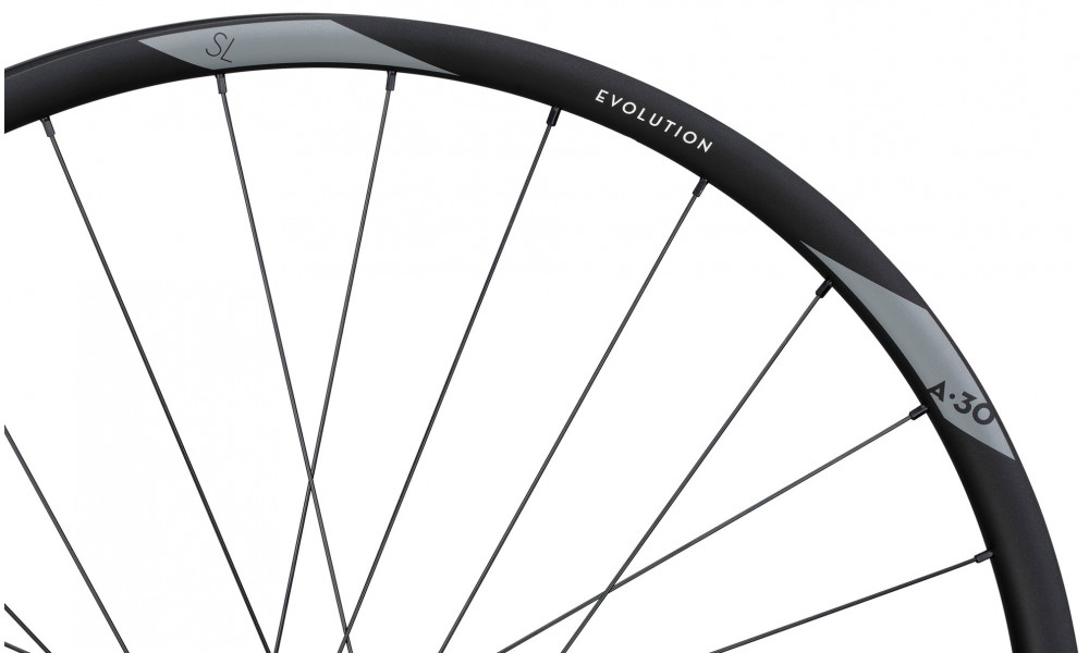 Заднее колесо NEWMEN Evolution Alu SL A.30 29" 12x148 SP 6-bolt 28H HG - 4