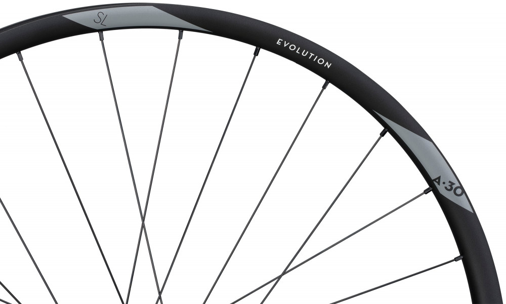 Заднее колесо NEWMEN Evolution Alu SL A.30 29" 12x148 SP 6-bolt 28H XD - 4
