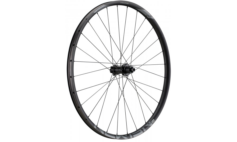 Rear wheel NEWMEN Evolution Alu SL E.G.30 29" 12x148 SP 6-bolt 28H XD - 1