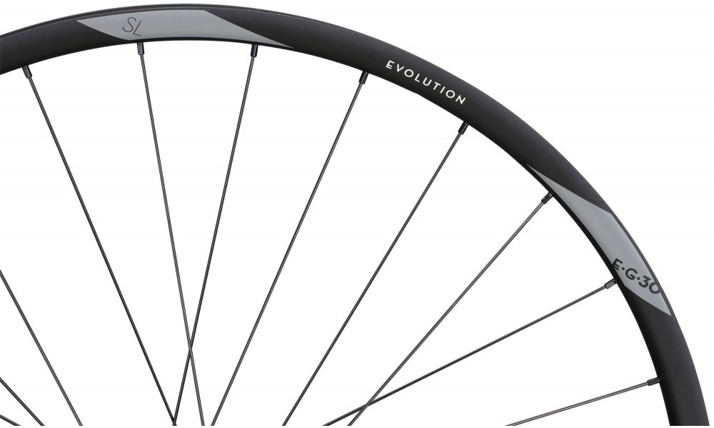 Заднее колесо NEWMEN Evolution Alu SL E.G.30 29" 12x148 SP 6-bolt 28H XD - 4