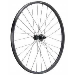 ?????? ?????? NEWMEN Forge Alu 30 base 29" 28H SP 6-bolt 12x148 HG