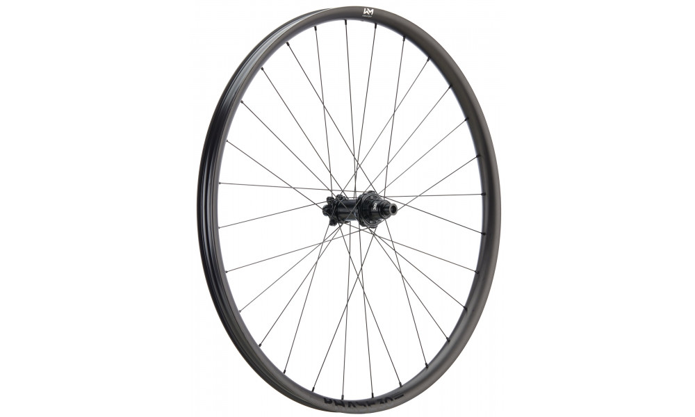 ?????? ?????? NEWMEN Phase Carbon 30 base 27.5" 28H SP 6-bolt 12x148 HG 