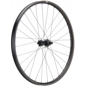 Rear wheel NEWMEN Phase Carbon 30 base 29" 28H SP 6-bolt 12x148 XD