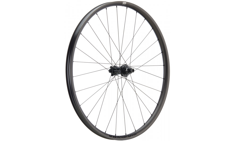 ?????? ?????? NEWMEN Phase Carbon 30 base 29" 28H SP 6-bolt 12x148 XD 