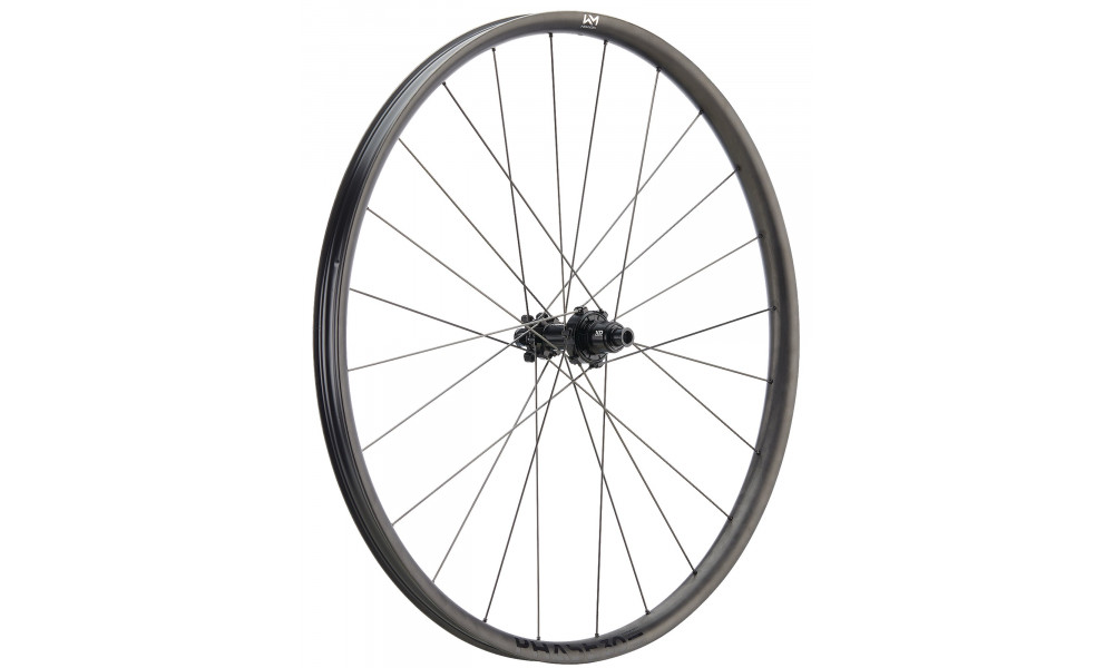 Rear wheel NEWMEN Phase Carbon 30 base VONOA 29" 24H CS SP 6-bolt 12x148 MicroSpline 