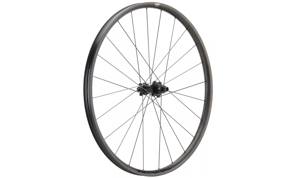 ?????? ?????? NEWMEN Phase Carbon 30 base VONOA 29" 24H CS SP 6-bolt 12x148 XD 