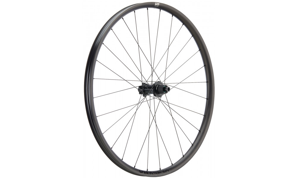 Rear wheel NEWMEN Phase Carbon 30 light 29" 28H SP 6-bolt 12x148 MicroSpline 