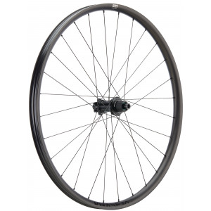 Rear wheel NEWMEN Phase Carbon 30 strong 29" 28H SP 6-bolt 12x148 HG