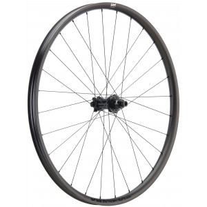 Rear wheel NEWMEN Phase Carbon 30 strong 29" 28H SP 6-bolt 12x148 XD