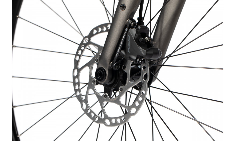 Bicycle Unibike Geos 2025 graphite - 6