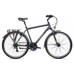 Bicycle Unibike Vision GTS 2025 grey