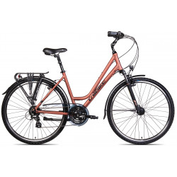 Bicycle Unibike Vision LDS 2025 coral