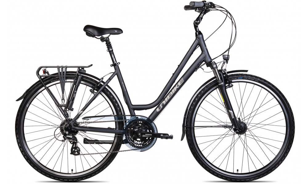 Bicycle Unibike Vision LDS 2025 grey - 1