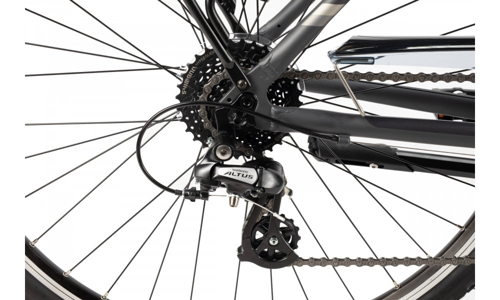 Bicycle Unibike Vision LDS 2025 grey - 4