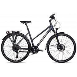 Bicycle Unibike Globetrotter LDS 2025 grey