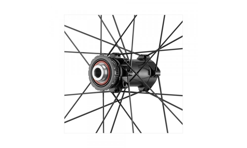 Bicycle wheelset Fulcrum Wind 55 DB 2WF C19 AFS front HH12 - rear HH12/142 with DRP - 3